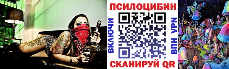 Псилоцибиновые грибы Psilocybine cubensis  купить   Волгореченск 